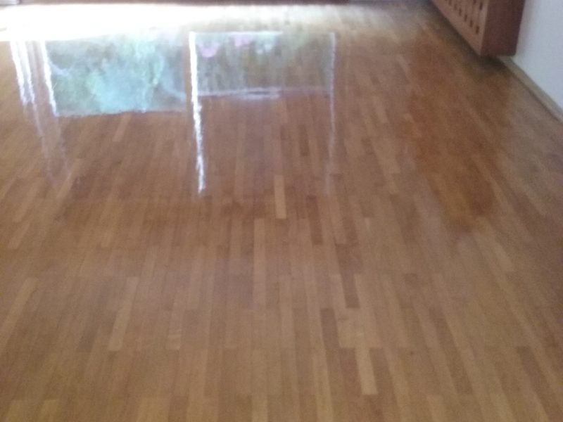 Čistilni servis Maks