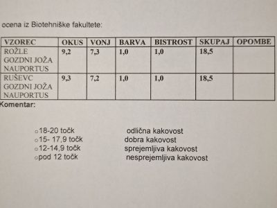 Žganjekuha Rok Šušteršič s.p.